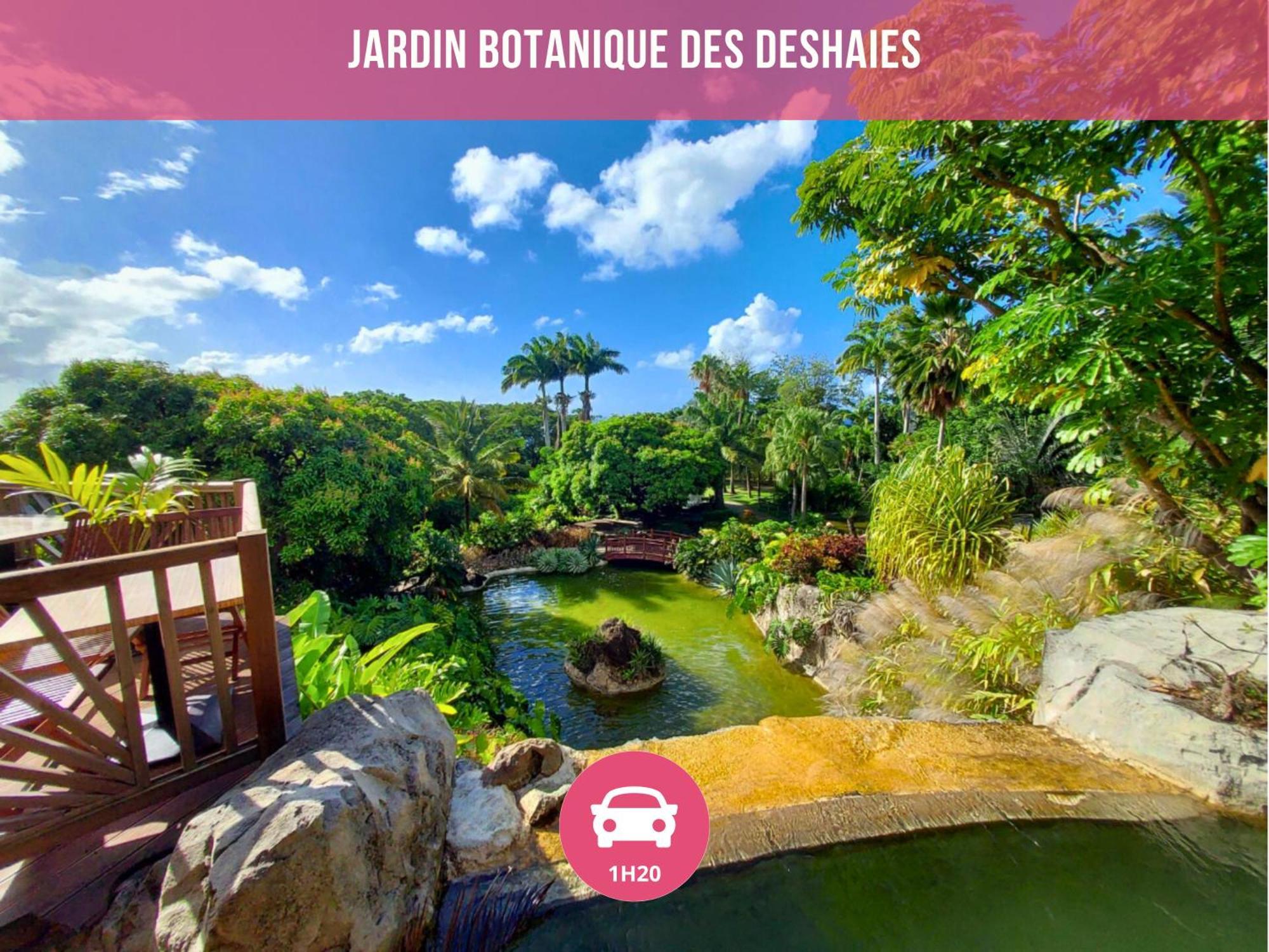 Le Sable Bleu - Evasion Tropicale A Sainte-Anne - Plage 5Min - Piscine - Parking - Logement Climatise - Vue Sur Les Palmiers - Parfait Pour Sejours En Famille Ou Entre Amis Экстерьер фото